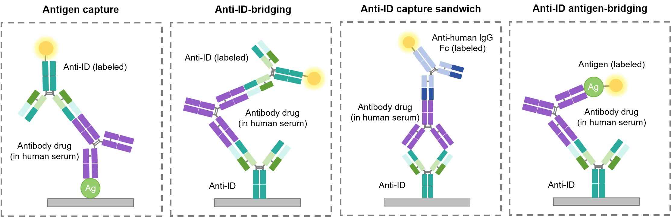 Fig.2 Types of ELISA-based PK assays. (Creative Biolabs Original)