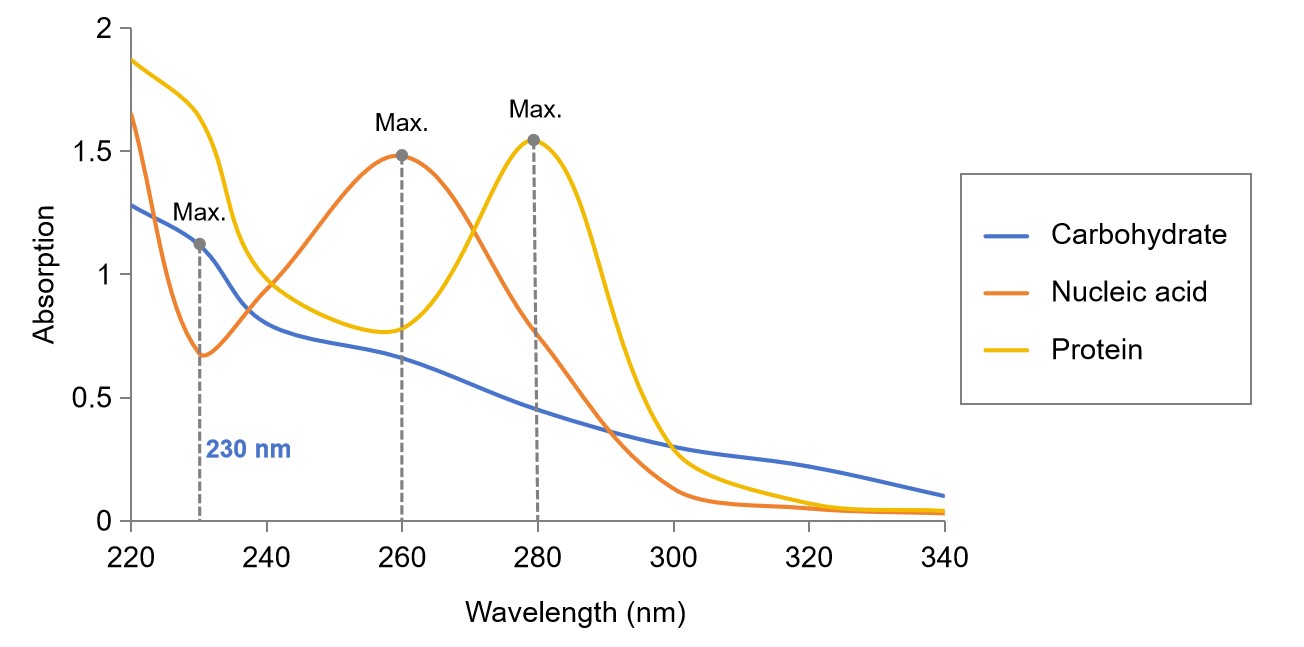 Fig.1 Protein, nucleic acid and carbohydrate quantification. (Creative Biolabs Original)