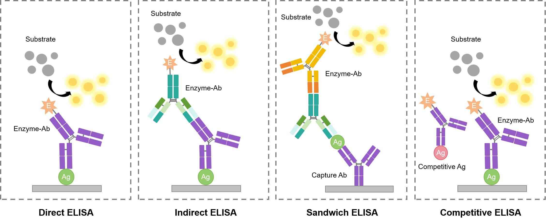 Fig.1 Different patterns of ELISA. (Creative Biolabs Original)