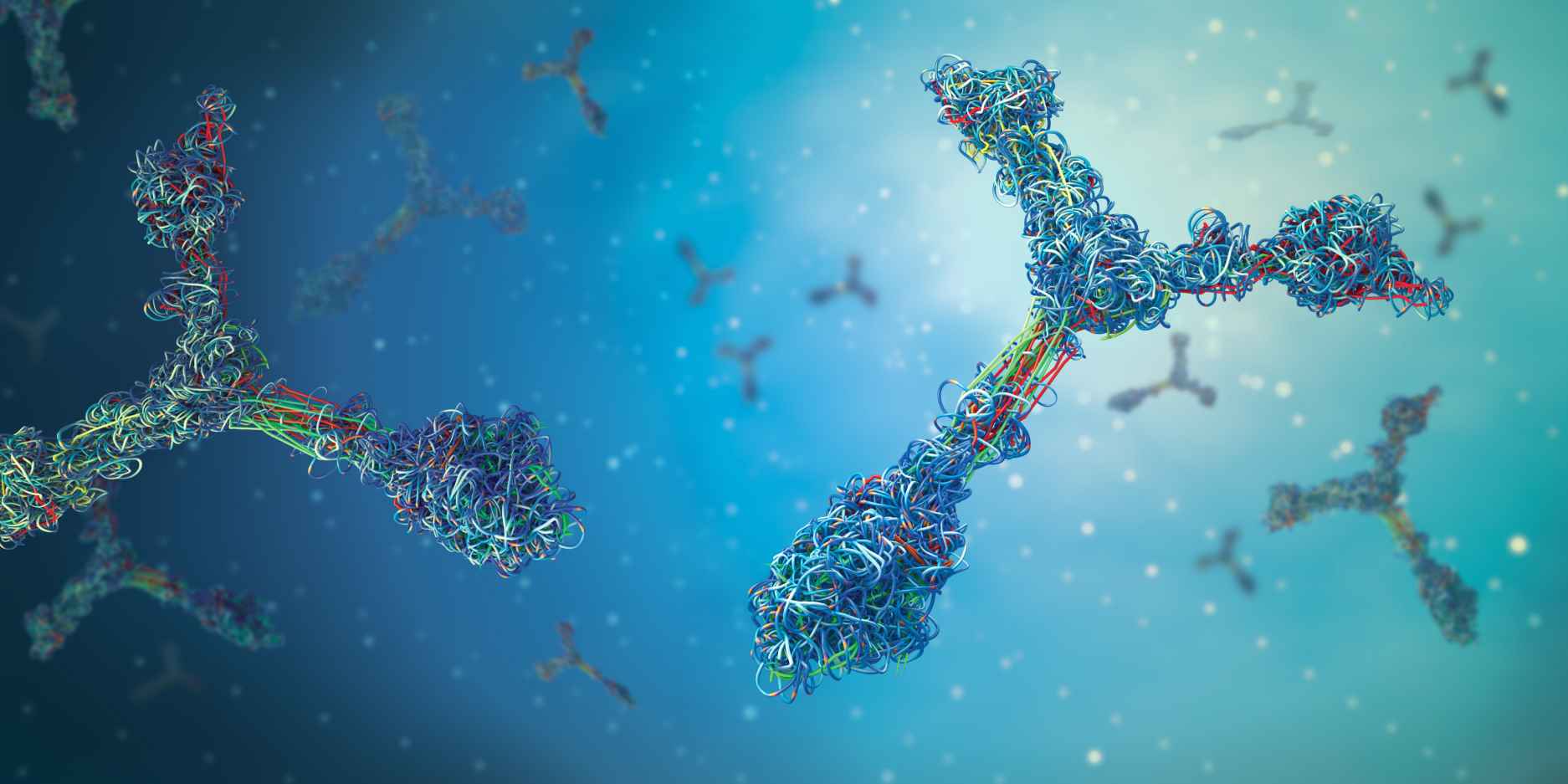 Fig.3 Antibody production. (Creative Biolabs Authorized)