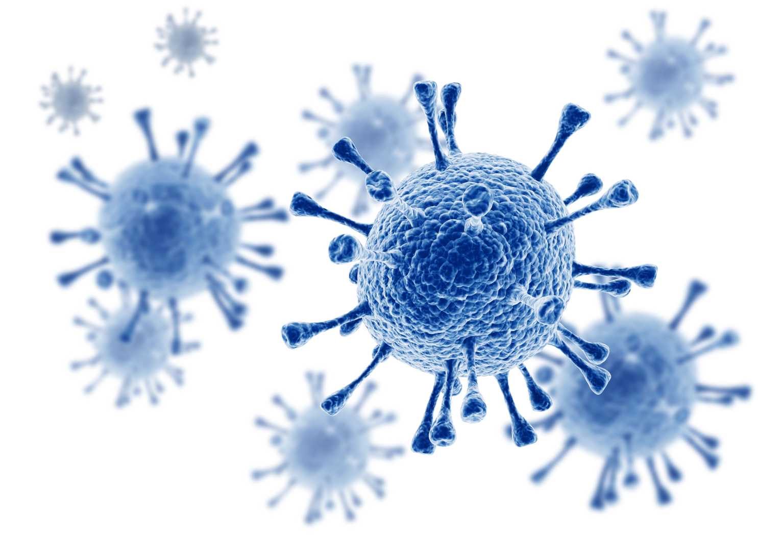 Fig.1 Influenza virus. (Creative Biolabs Authorized)