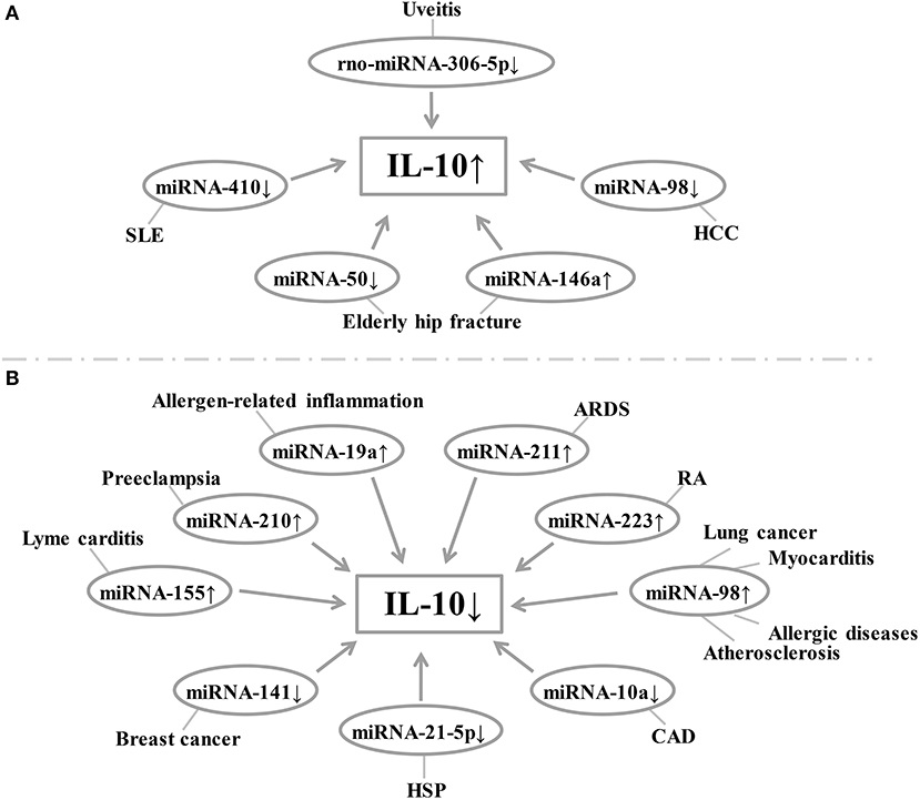 Fig. 1:Relationship between miRNA expression and IL-10 levels in different diseases.