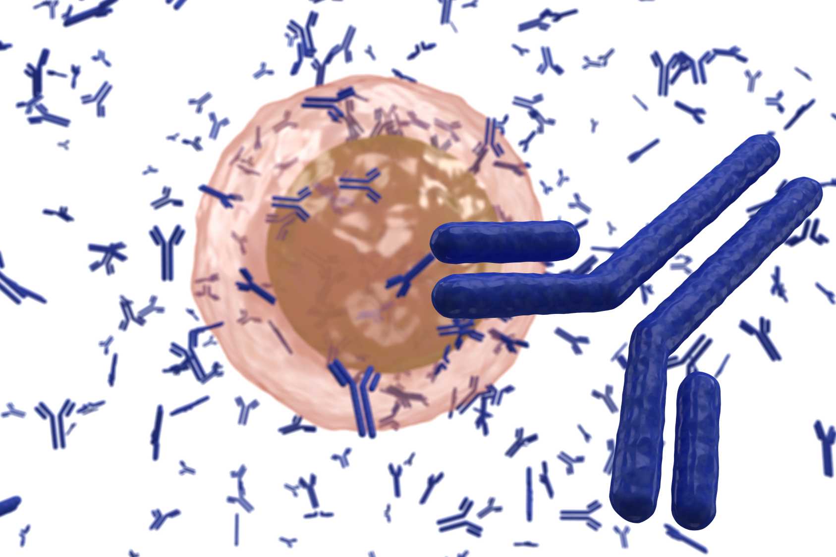 Fig.1 Antibodies. (Creative Biolabs Authorized)