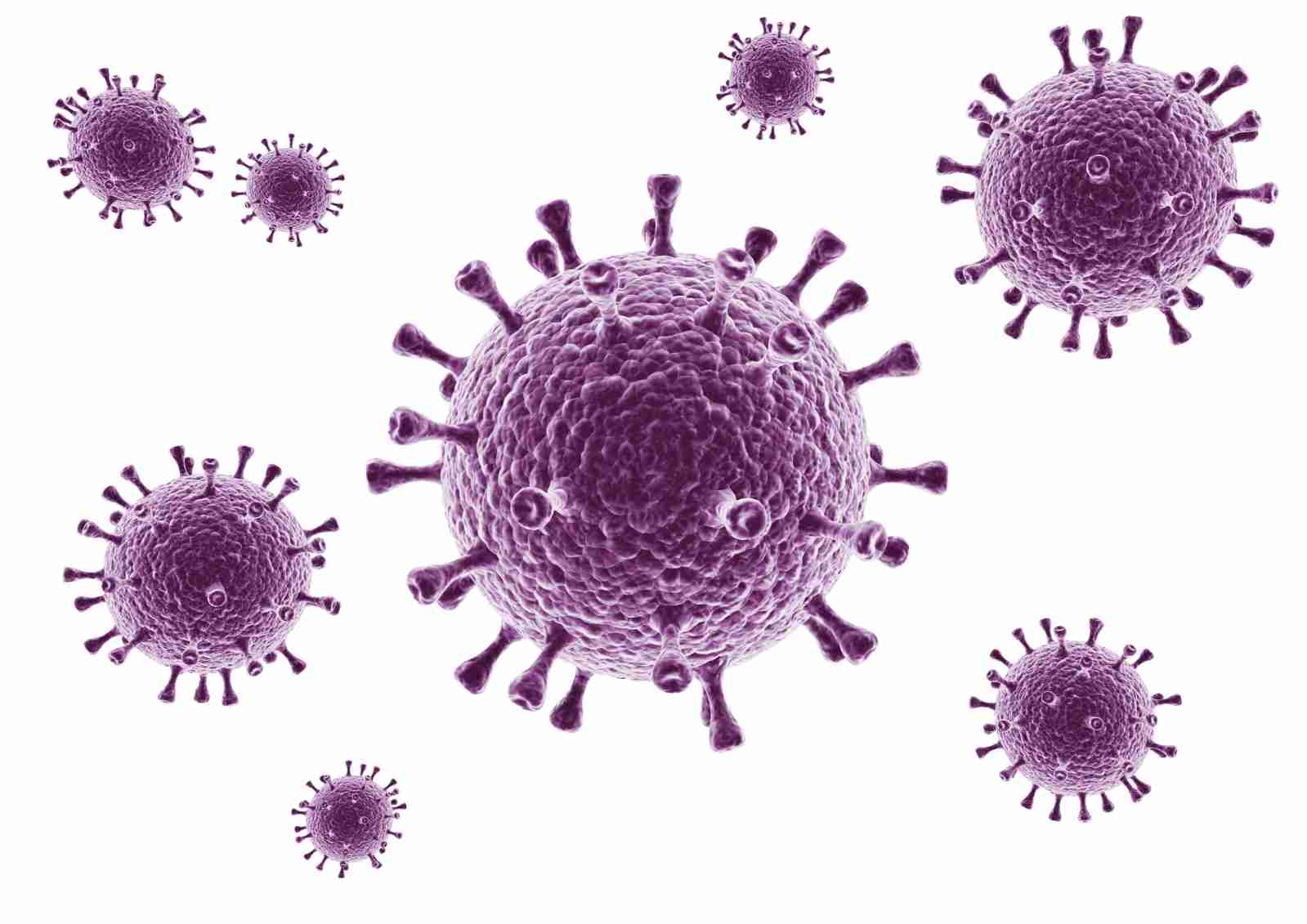 Fig.1 Novel coronavirus (SARS-CoV-2). (Creative Biolabs Authorized) 